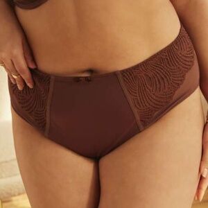 NEW Sculptresse by Panache Arianna Deep Brief Panty 10272 Warm Chestnut (Brown)
